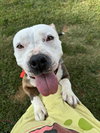 Betty - Photo 2