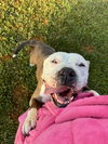 Betty - Photo 3