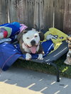 Betty - Photo 4