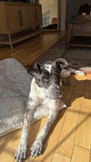 Journey - Photo 2
