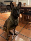 Mateo - Photo 1