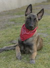 Mateo - Photo 3