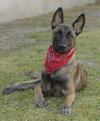 Mateo - Photo 4