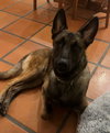 Mateo - Photo 4