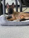 Mateo - Photo 1