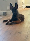 Mateo - Photo 3