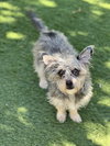 Martha - Photo 2