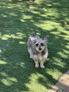 Martha - Photo 3