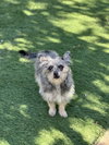 Martha - Photo 4