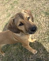 Wrigley - Photo 4