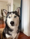 Zoey - Photo 3