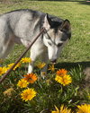 Star - Photo 2
