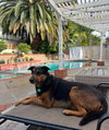 Runi - Photo 2