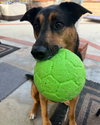 Runi - Photo 4