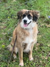 Alphie - Photo 3