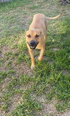 Lola - Photo 2