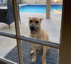 Lola - Photo 3