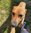 Lola - Photo 4