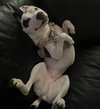 Lucy - Photo 2