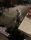 Lucy - Photo 3