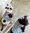 Stella & Lucy - Photo 3