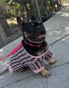 Moochi - Photo 4