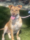 Hazel - Photo 3