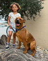 Sage - Photo 1