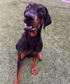 Titus - Photo 2