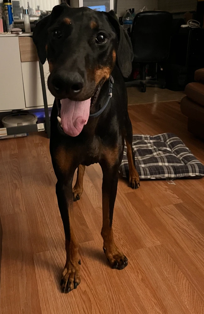 Zeke