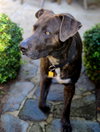 Jacob - Photo 1