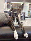 Lennox - Photo 2