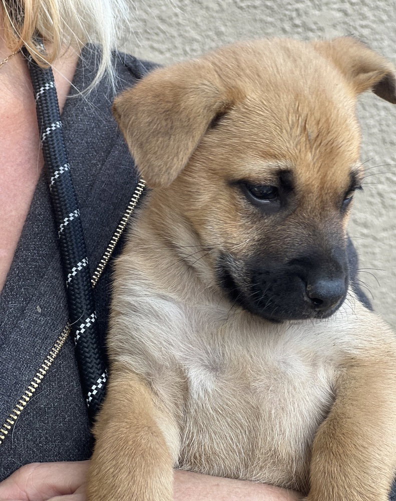 Buddy Image