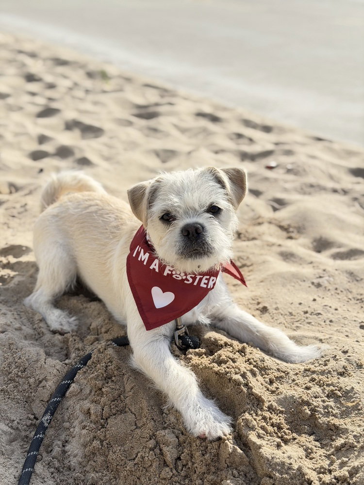 Buster Image