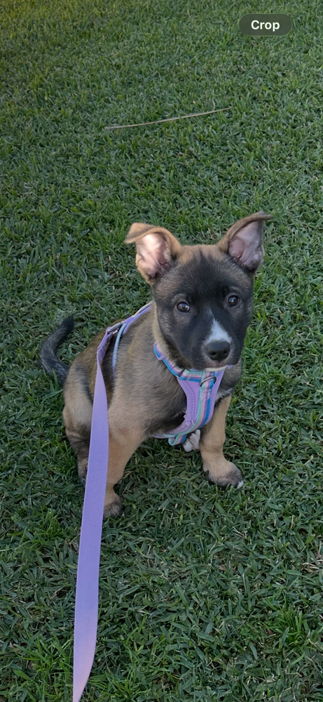 Rylee Image