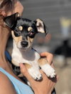 Tallulah - Photo 3