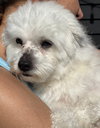 Zukey - Photo 2
