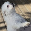 Zukey - Photo 3