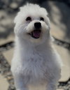 Zukey - Photo 4
