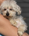 Sissy - Photo 4