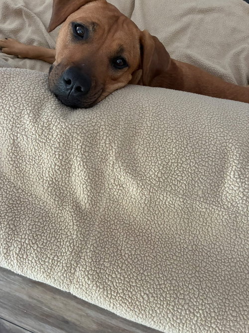 Photo 3 of Peach