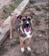 Lucy - Photo 2