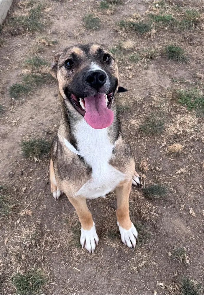 Lucy image 2