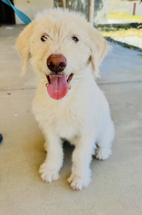 Murphy