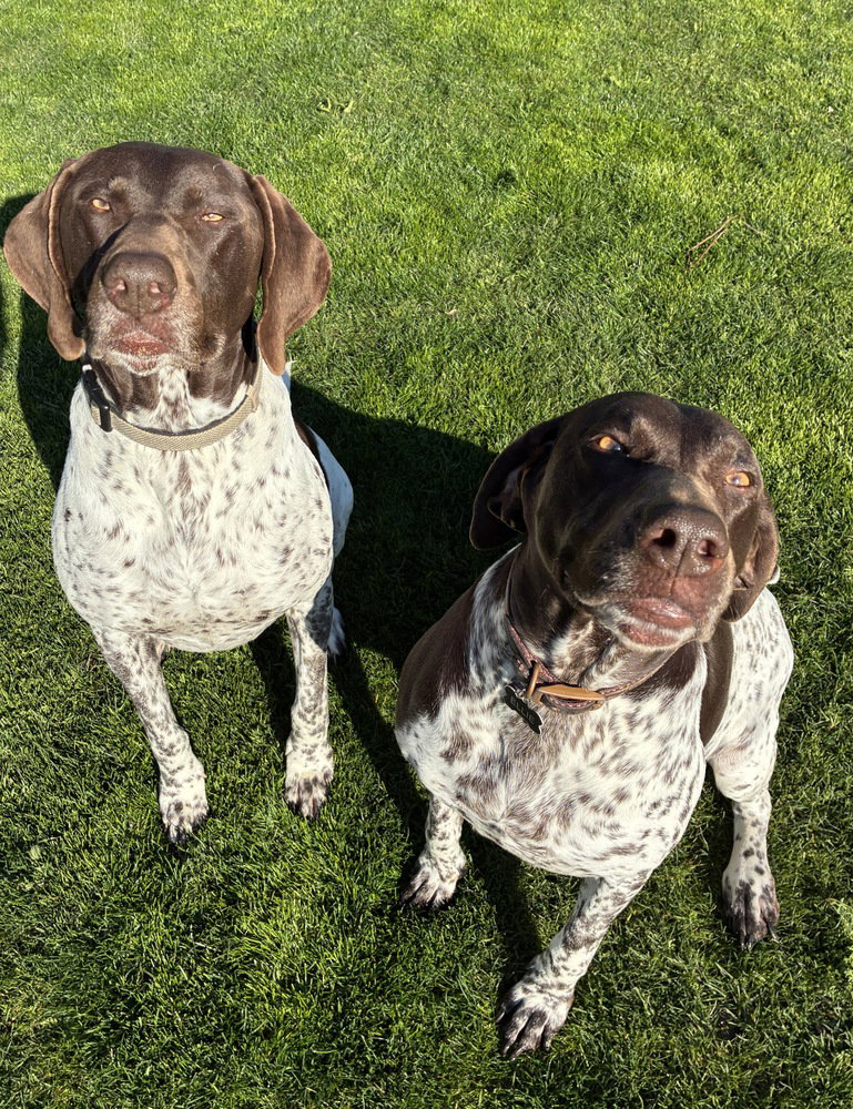 Thor & Ellie