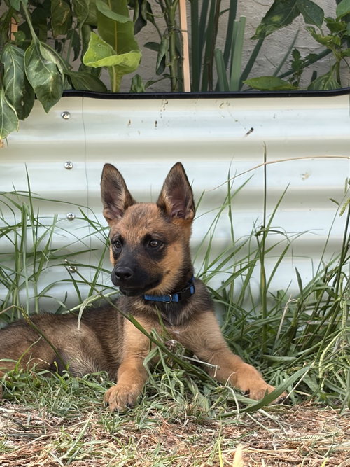 Photo 2 of Kaia