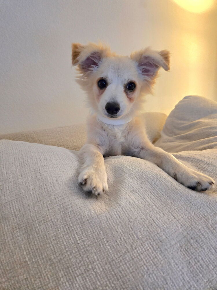 Marley