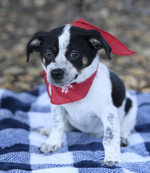 Photo 2 of Tuck