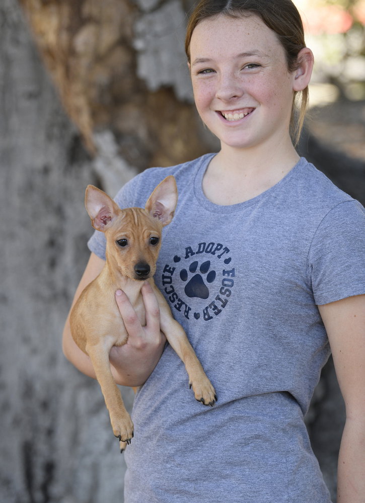 Scotty, photo 3