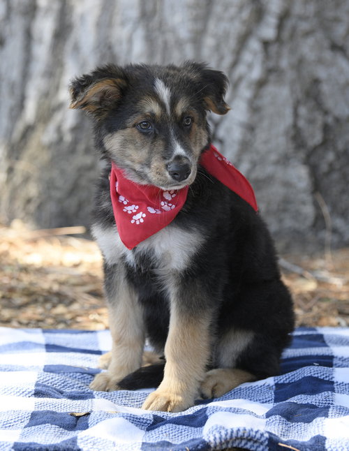 Photo 2 of Murphy